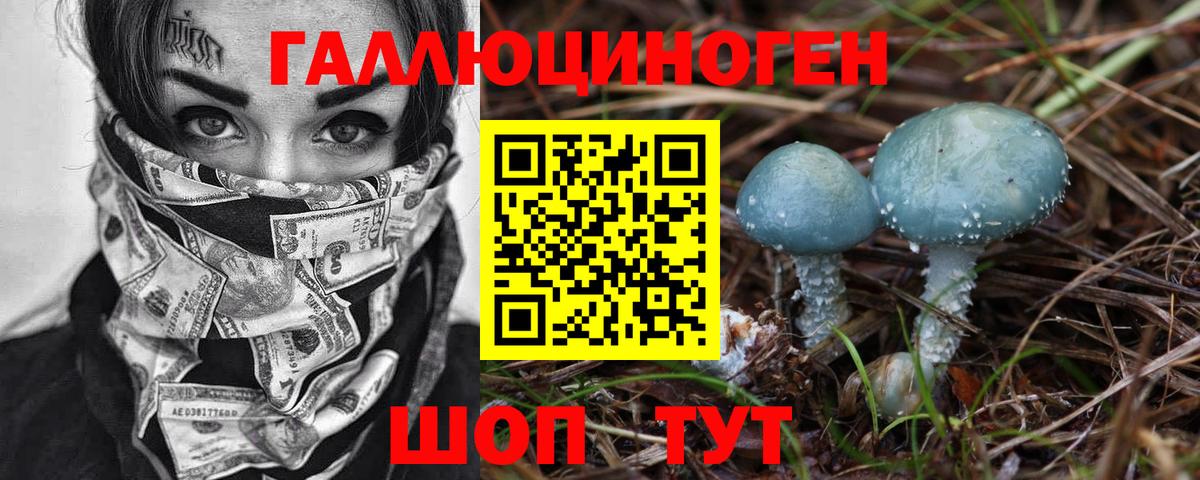 Псилоцибиновые грибы прущие грибы Камень-на-Оби