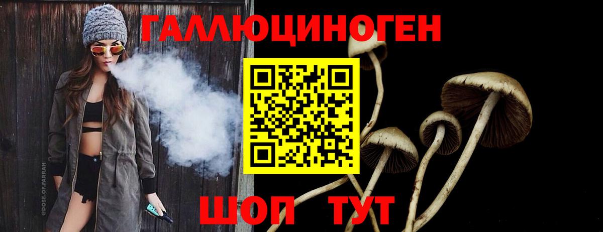 Галлюциногенные грибы Cubensis  Галлюциногенные грибы Psilocybine cubensis  Камень-на-Оби  Вход с VPN 